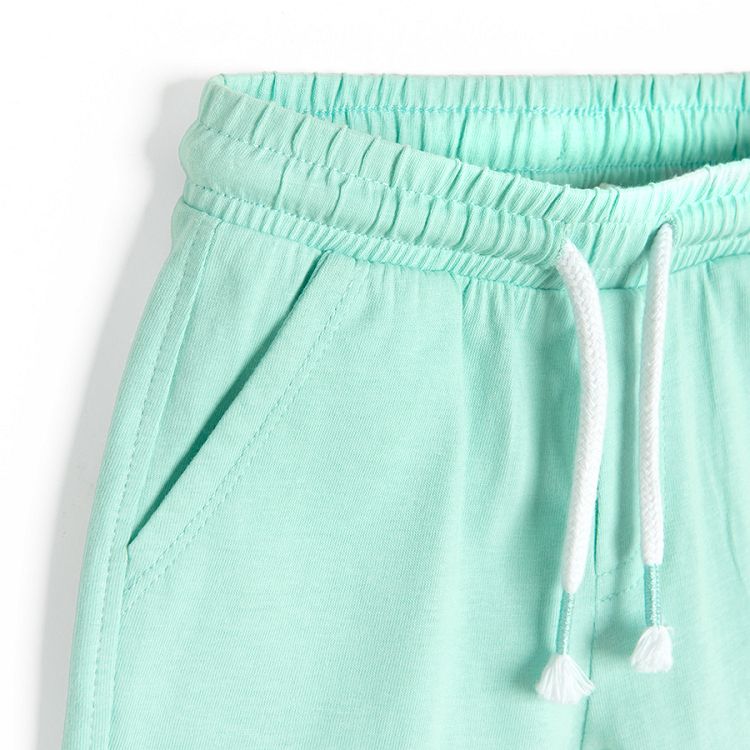 Turquoise shorts