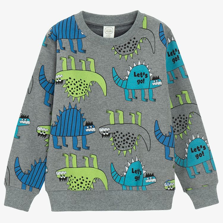 Grey sweatshirt with dinosaurs print