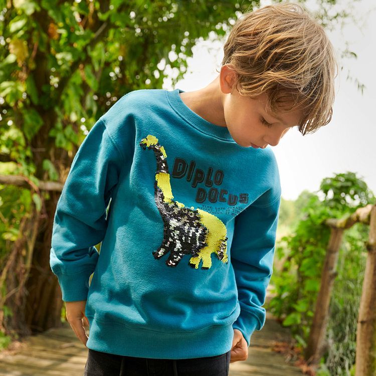 Blue sweatshirt with dinosaur print