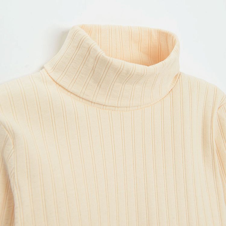 Ecru turtleneck long sleeve blouse