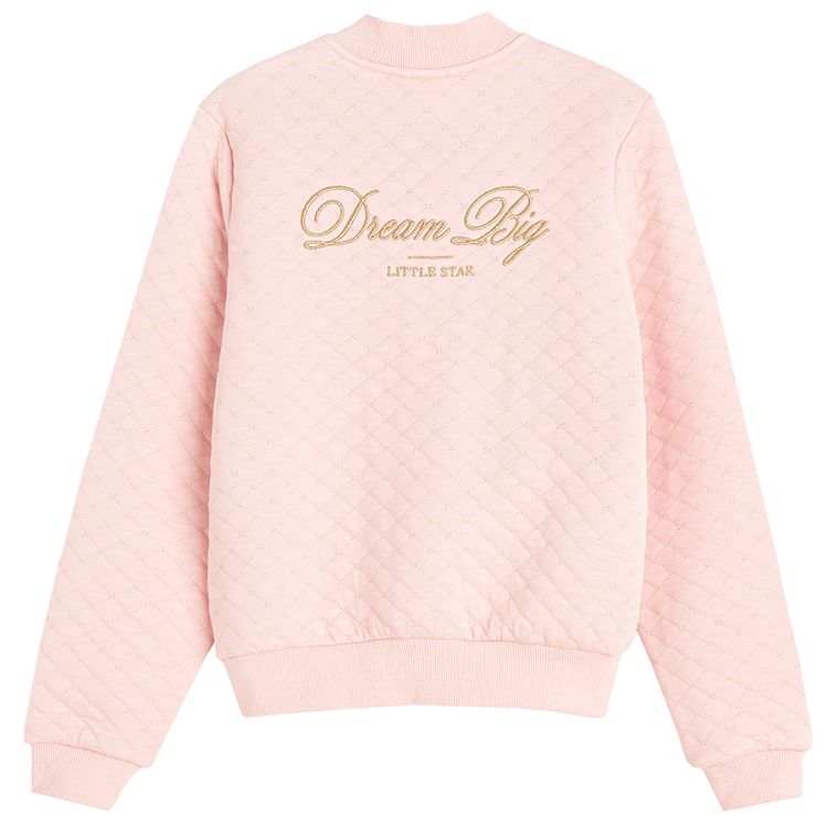 Pink zip through sweatshirt with Dream Big on the back