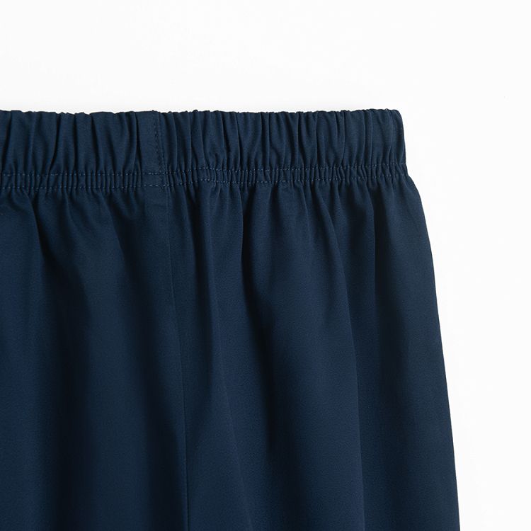 Blue pleated wide leg pants