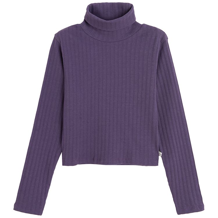 Purple turtleneck blouse