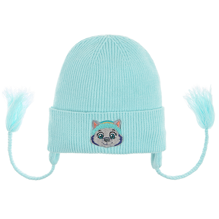 Paw Patrol turquoise cap