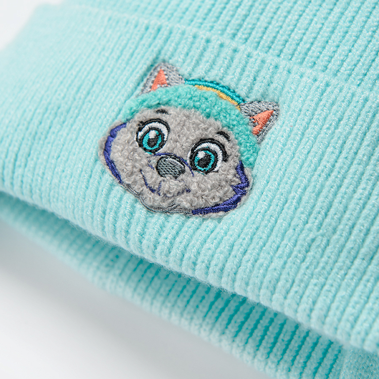 Paw Patrol turquoise cap