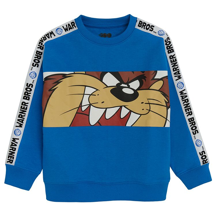 Blue Warner Bros sweatshirt