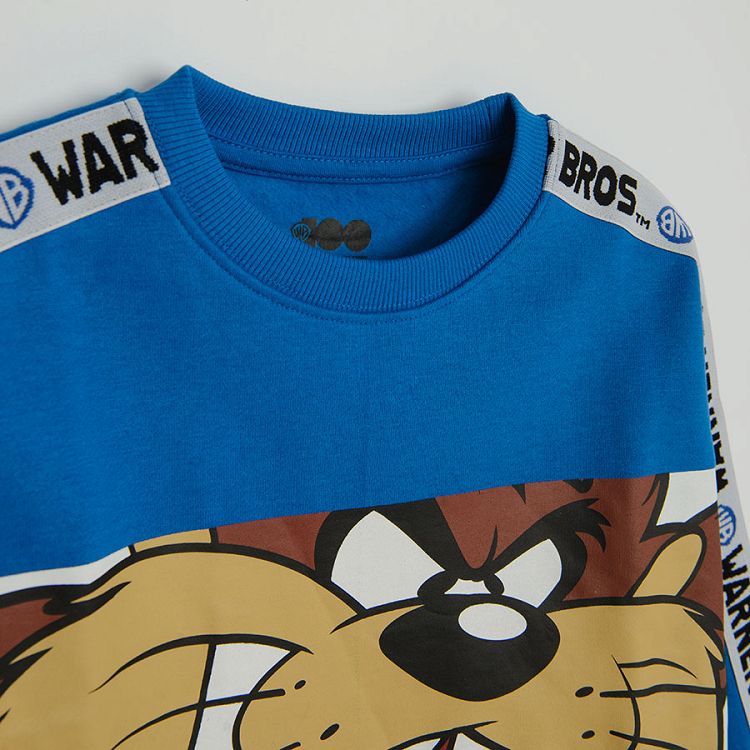 Blue Warner Bros sweatshirt