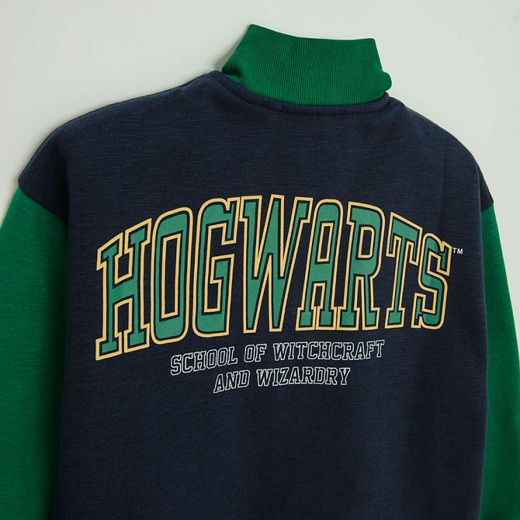 Harry Potter blue with green sleeves sweatshirt