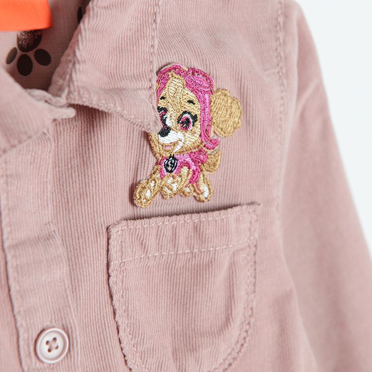 Paw Patrol dress