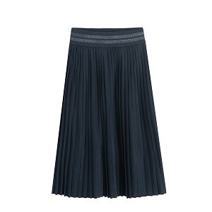 Dark blue pleated skirt